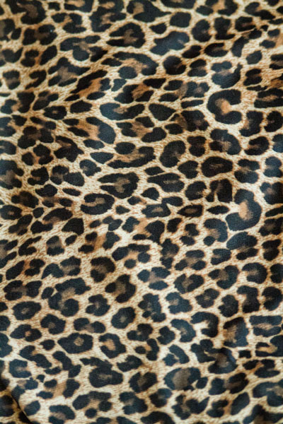  Gold Cheetah